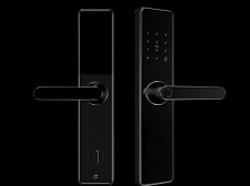 青松沃德-Wi-Fi 指紋鎖家用防盜門智能門鎖密碼鎖刷卡電子鎖 防磁干擾 防撬 L9-WT (不含鎖體，鎖體需另購）